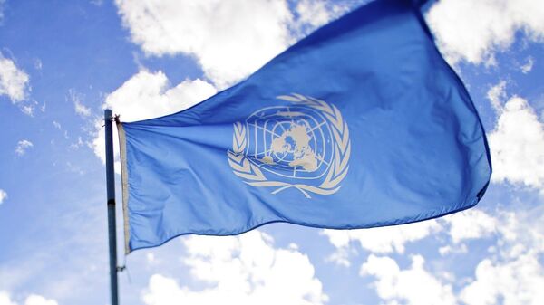 La bandera de la ONU (archivo) - Sputnik Mundo