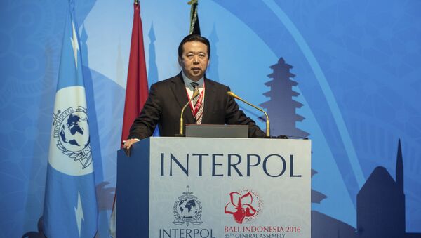 Meng Hongwei, nuevo presidente de la Interpol - Sputnik Mundo