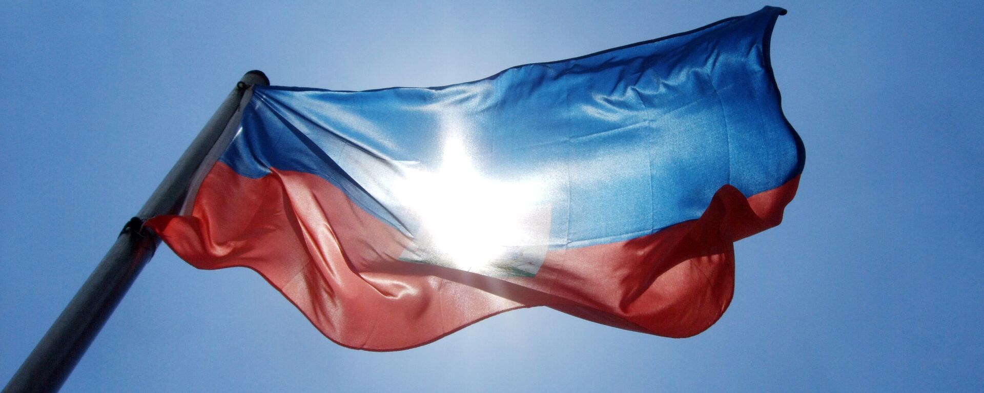 La bandera de Haití - Sputnik Mundo, 1920, 30.08.2021
