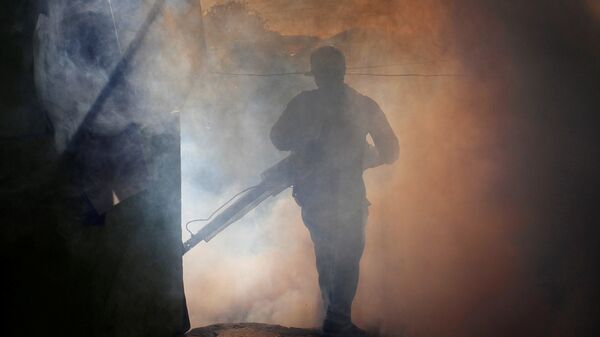 La fumigación de una casa para matar mosquitos durante una campaña contra el dengue - Sputnik Mundo