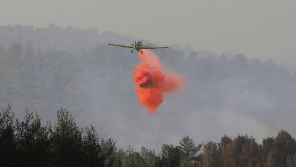 Un avión israelí apaga incendios en la localidad de Nataf - Sputnik Mundo