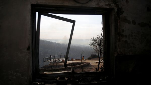 Un edificio destruido en los incendios forestales en Israel - Sputnik Mundo