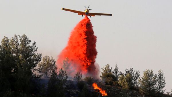 Los bomberos extinguen incendios en Israel - Sputnik Mundo