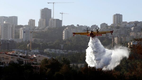 El avión apaga incendios en los alrededores de Haifa - Sputnik Mundo