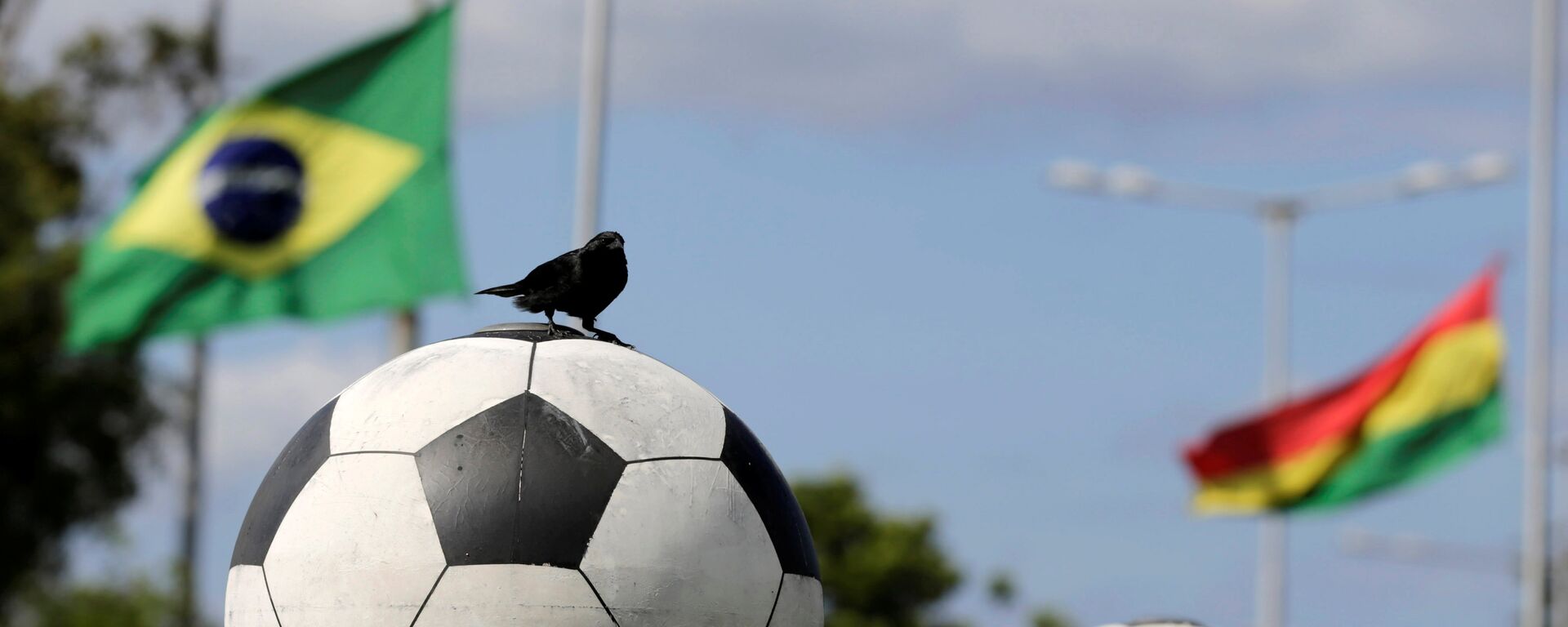 A bird sits on a ball in front of flags of Brazil and member countries of the South American Soccer Confederation (CONMEBOL) at half staff, paying tribute to members of Chapecoense soccer team in a plane crash in Colombia, in front of the headquarters in Luque, Paraguay - Sputnik Mundo, 1920, 12.06.2021