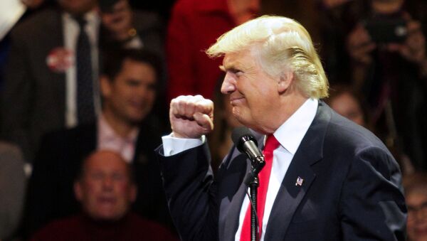 U.S. President-elect Donald Trump speaks at a rally as part of their USA Thank You Tour 2016 in Cincinnati, Ohio - Sputnik Mundo