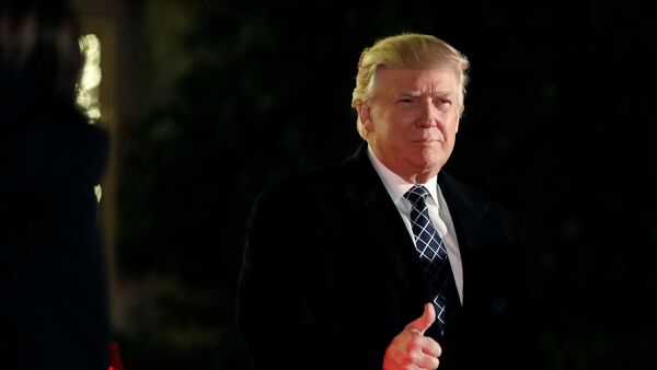 Donald Trump, el presidente electo de EEUU - Sputnik Mundo