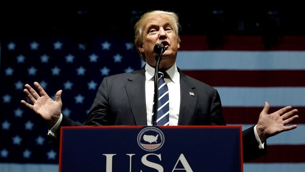 Discurso de Donald Trump, presidente de EEUU, el 9 de diciembre durante un mitin en Michigan, realizado como parte de su gira de agradecimiento - Sputnik Mundo