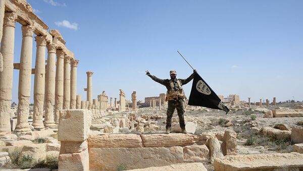 Militante del grupo Halcones del Desierto con la bandera de Daesh en Palmira - Sputnik Mundo