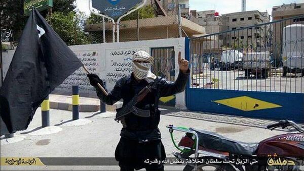 Combatiente extremista se fotografía a las afueras de una filial de Cascos Blancos en el campo de Yarmuk, controlado por Daesh - Sputnik Mundo