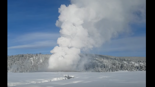 De los géiseres en Yellowstone brota nieve en vez de agua hirviendo - Sputnik Mundo