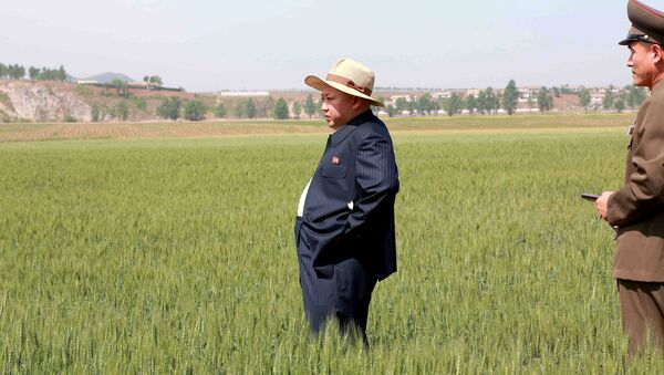 Líder de Corea del Norte, Kim Jong-un, en una granja (archivo) - Sputnik Mundo