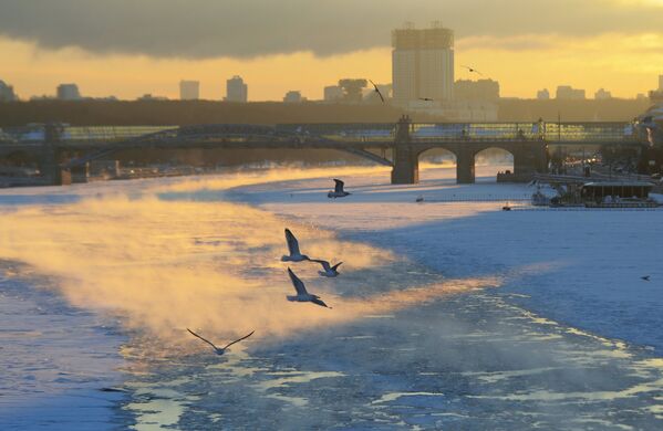 Frío extremo en Moscú - Sputnik Mundo