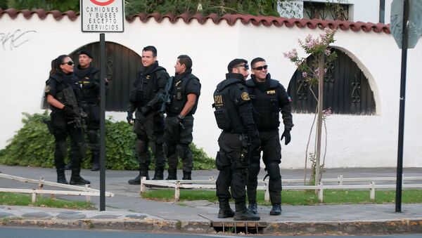 Special forces police are seen close to the house of Codelco's Chilean chairman of the board, Oscar Landerretche, who suffered minor injuries after receiving a package that exploded at his home, in Santiago, Chile - Sputnik Mundo