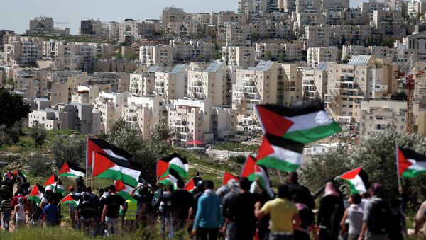 Palestinos llevan su bandera (archivo) - Sputnik Mundo