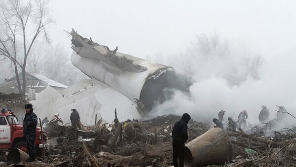 El lugar de la caída del avión Boeing 747 de Turkish Airlines - Sputnik Mundo