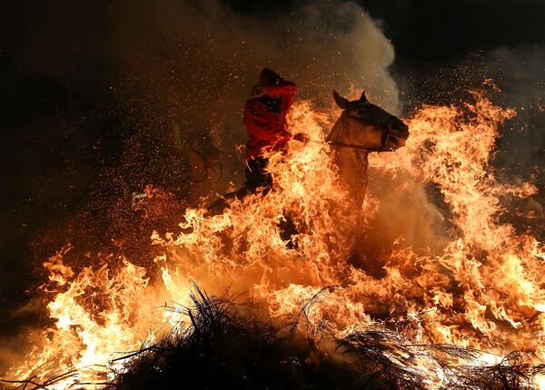 Un jinete salta sobre el fuego durante La Fiesta de las Luminarias, en víspera de San Antón. San Bartolomé de Pinares, España, 17 de enero de 2017. - Sputnik Mundo