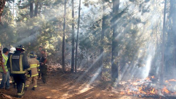 Los incendios forestales en Chile - Sputnik Mundo