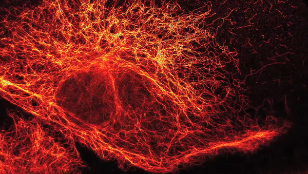 Partículas elementares vistas a través de un súper microscopio de alta resolución - Sputnik Mundo