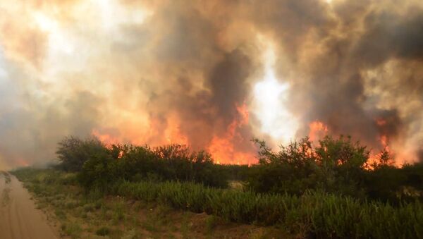 Un incendio devasta más de un millón de hectáreas en Argentina - Sputnik Mundo
