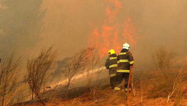 Bomberos apagan un incendio forestal en Chile - Sputnik Mundo