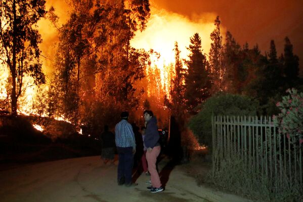 Incendios forestales en Chile - Sputnik Mundo