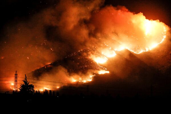 Incendios forestales en Chile - Sputnik Mundo