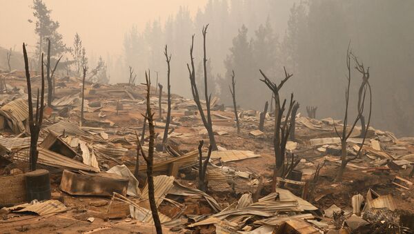 Las consecuencias de los incendios forestales en Chile - Sputnik Mundo