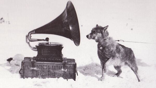 Un perro y un gramófono - Sputnik Mundo
