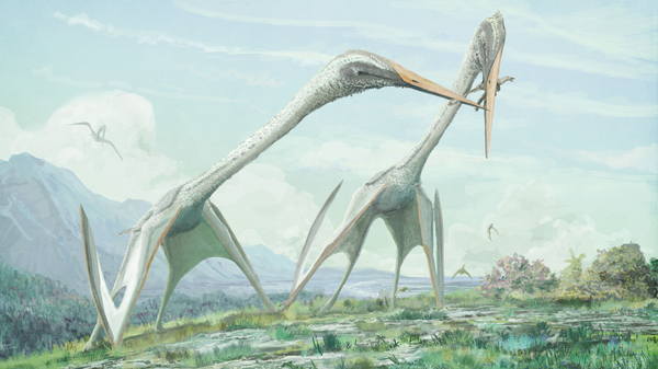 Pterosaurio (imagen referencial) - Sputnik Mundo