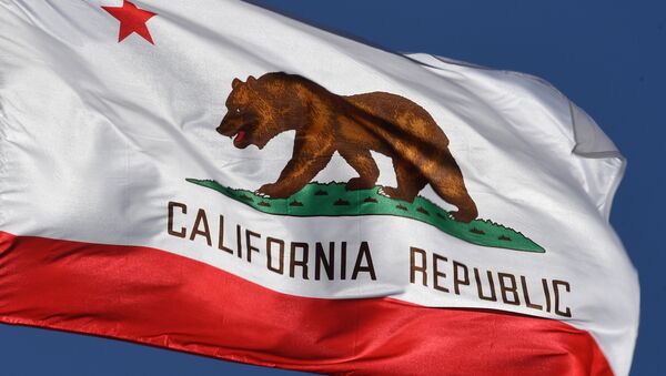 The California State flag flies outside City Hall, in Los Angeles, California on January 27, 2017. - Sputnik Mundo
