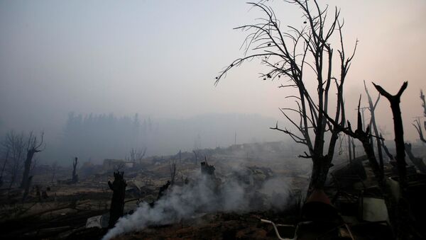Burnt trees and the remains of houses are seen after a wildfire at the country's central-south regions, in Santa Olga, Chile January 28, 2017 - Sputnik Mundo