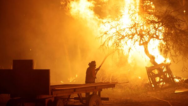 A firefighter tries to stop wildfires in Chile's central-south regions, in Portezuelo, Chile January 30, 2017 - Sputnik Mundo