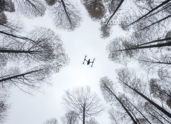 El mundo a vista de pájaro: fotografías aéreas que te dejarán boquiabierto - Sputnik Mundo