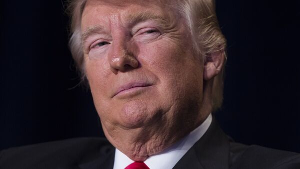 Donald Trump, presidente de EEUU (archivo) - Sputnik Mundo