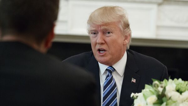 Donald Trump en una reunión con ejecutivos de aerolíneas - Sputnik Mundo