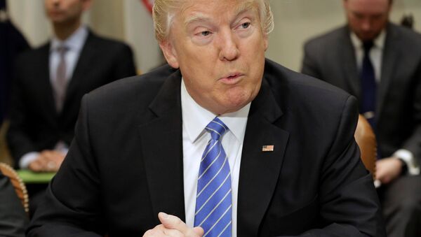 Donald Trump, presidente de EEUU - Sputnik Mundo