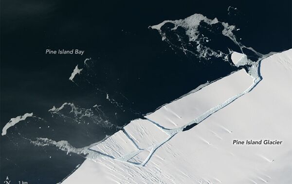 Glaciar Pine Island en la Antártida - Sputnik Mundo