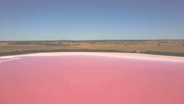 Así es el único lago de color rosa de nuestro planeta - Sputnik Mundo