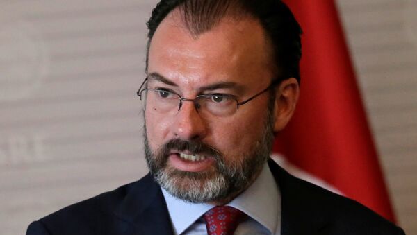 Mexico's Foreign Minister Luis Videgaray gives a speech to the media next to Turkish Foreign Minister Mevlut Cavusoglu (not pictured), at the foreign ministry building (SRE) in Mexico City, Mexico - Sputnik Mundo