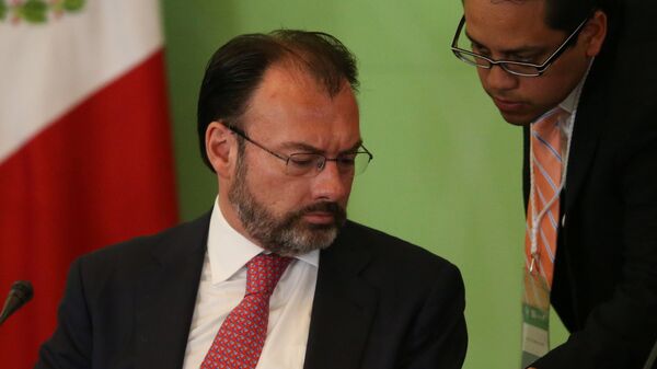 An assessor shows a message to Mexico's Foreign Minister Luis Videgaray during the 25th Session of the General Conference of the Agency for the Prohibition of Nuclear Weapons in Latin America and the Caribbean, in Mexico City - Sputnik Mundo