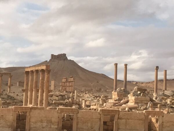 Las atrocidades de Daesh contra el Patrimonio de la Humanidad de Palmira - Sputnik Mundo