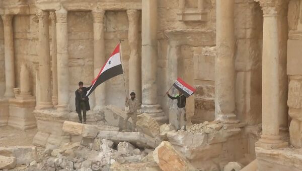 Bandera de Siria desplegada sobre las ruinas de Palmira - Sputnik Mundo