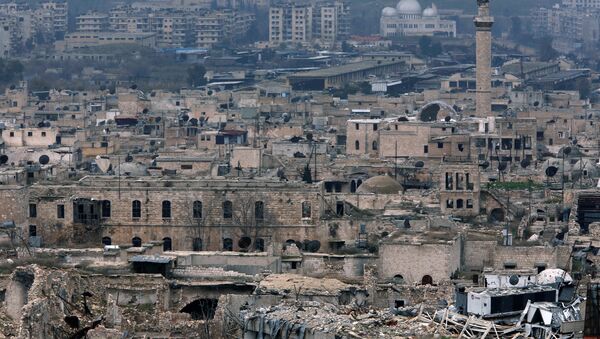A view shows the damage in the Old City of Aleppo as seen from the city's ancient citadel, Syria January 31, 2017 - Sputnik Mundo