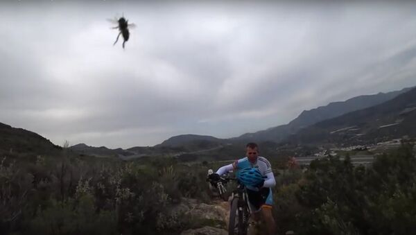 Captura de pantalla del momento en el que los ciclistas fueron atacados por abejas - Sputnik Mundo
