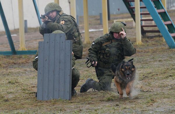 EEl exigente entrenamiento de los perros policía de la Guardia Nacional rusa - Sputnik Mundo