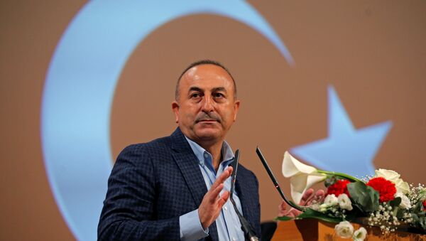 Mevlut Cavusoglu, ministro de Exteriores turco (archivo) - Sputnik Mundo