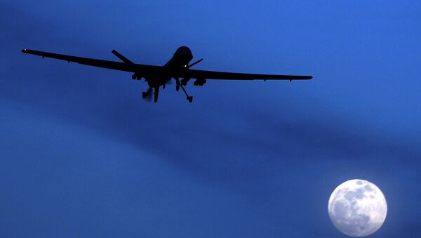 El dron Predator de EEUU (archivo) - Sputnik Mundo