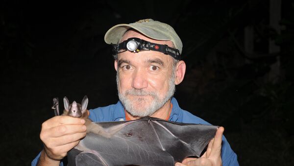 El doctor Rodrigo Medellín sostiene un murciélago - Sputnik Mundo