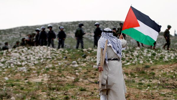 Palestino en una protesta - Sputnik Mundo